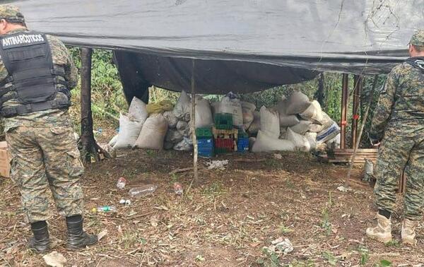 Antinarcóticos destruyó más de 1.000 kilos de marihuana en Yhú – Prensa 5