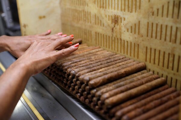 Cuba produjo entre enero y junio menos de la mitad del tabaco planificado - MarketData