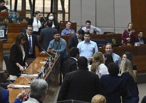 Presidente de Diputados no ve factible que sesión se retome este martes - Nacionales - ABC Color
