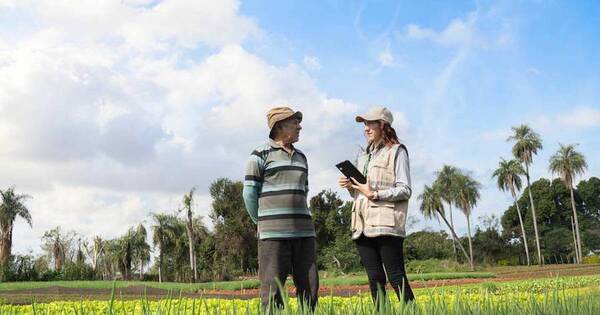 La Nación / Se inició la mayor recopilación de datos del sector agropecuario