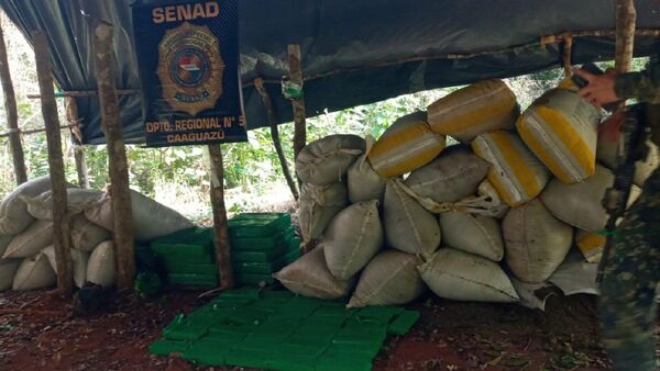 Senad incauta 1.380 kilos de marihuana en Caaguazú