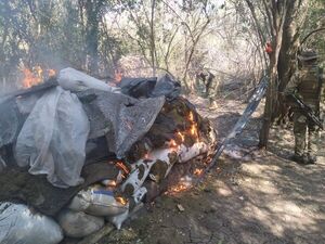 Puentesiño: destruyen plantaciones de marihuana - Nacionales - ABC Color