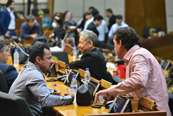 Sandra Quiñónez: Levantan sesión en la Cámara Baja tras incidentes entre los diputados - Periodísticamente - ABC Color