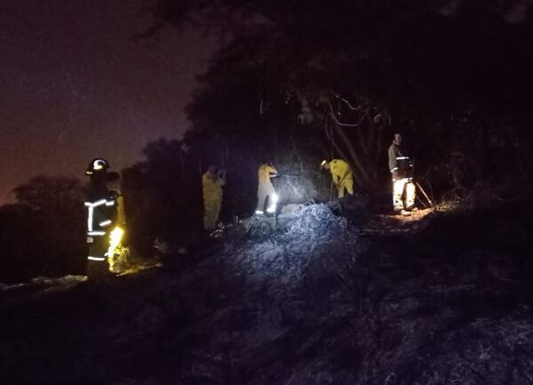 Incendio en la parte baja del cerro Ñemby causó susto - Nacionales - ABC Color
