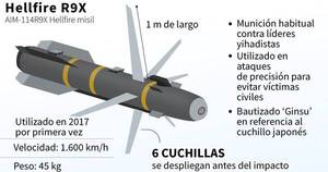 La Nación / Sucesión es compleja en Al Qaida