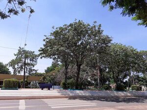Prevén miércoles caluroso, pero con ingreso de frente frío al final de la jornada