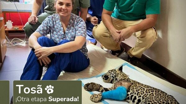 Tosã sale airosa de una intensa cirugía de 4 horas
