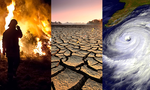 La advertencia científica sobre el riesgo de la extinción humana por una catástrofe climática - OviedoPress