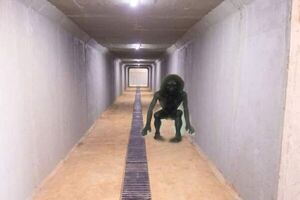 Túnel peatonal en Eusebio Ayala, blanco de burlas y un sinfín de memes - Nacionales - ABC Color