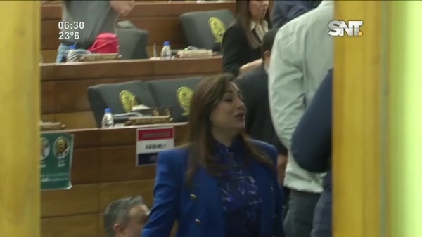 Cámara de Diputados: Sesión interrumpida por quinta vez - SNT