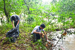 Vecinos denuncian destrucción del medio ambiente e inacción de Comuna - La Clave
