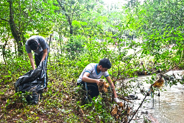 Vecinos denuncian destrucción del medio ambiente e inacción de Comuna - La Clave