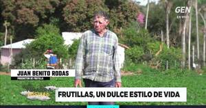 La Nación / Don Benito: “La frutilla me dio casa, para mi novia, familia y poder hacerlos estudiar”