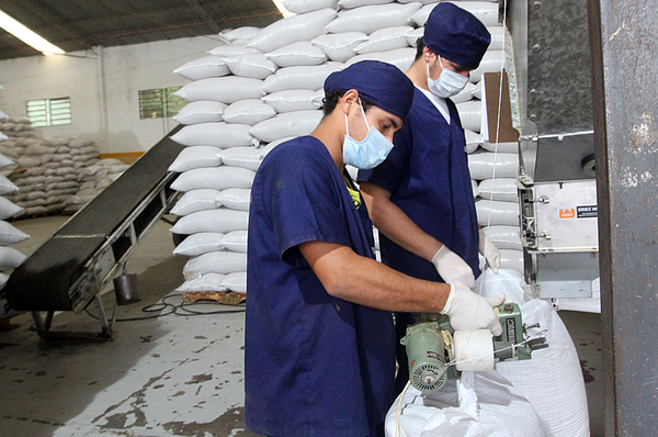 Paraguay concreta primer envío de chía al mercado australiano - .::Agencia IP::.