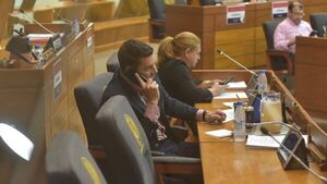 Sesiones de Diputados sin cuórum en medio de tensión por juicio político