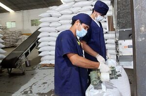 Paraguay concreta primer envío de chía al mercado australiano - La Clave