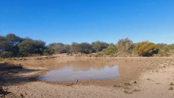 Sequía y desidia estatal obligan a comunidades indígenas a tomar agua sucia