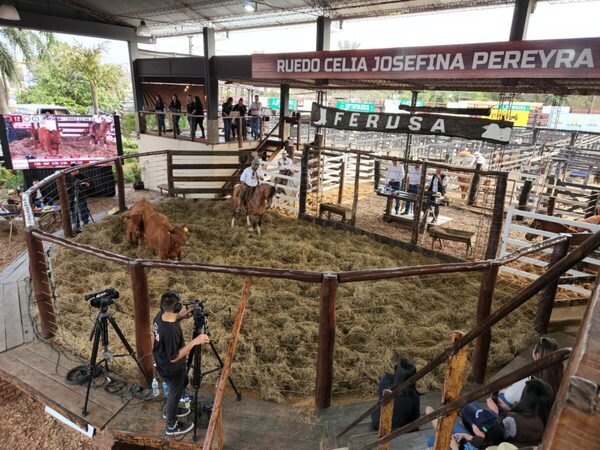 Ferusa concretó un “muy buen remate” de reproductores de Ganadera Sofía y Chajha