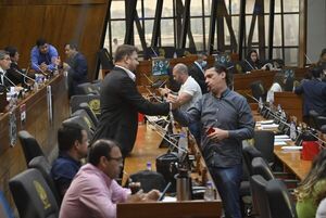 Diputados convoca a sesión extra este lunes para debatir sobre juicio a Sandra Quiñónez - Nacionales - ABC Color