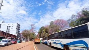 Junta de Ciudad del Este aprueba nueva suba de pasaje de buses internos