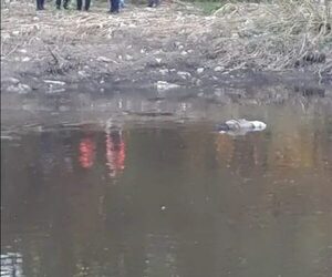 Hallan cuerpo de abuela desaparecida, quien fue asesinada con fines de robo ndaje