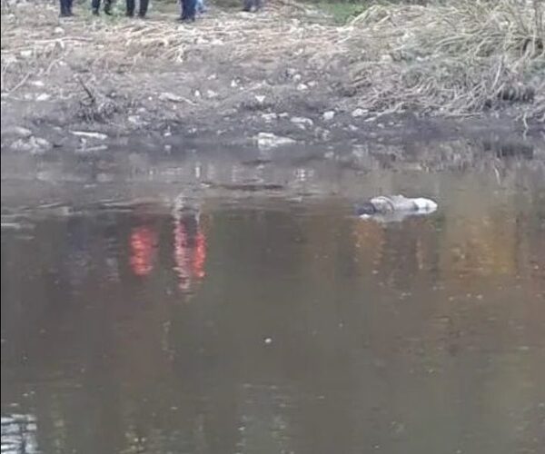 Hallan cuerpo de abuela desaparecida, quien fue asesinada con fines de robo ndaje