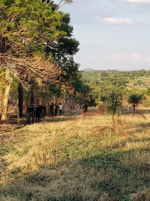Localizan con vida a menor desaparecido en Yby Yaú | 1000 Noticias