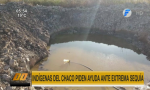 Indígenas del Chaco piden ayuda ante extrema sequía | Telefuturo