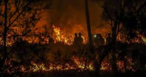 La Nación / Preocupa alarmante proyección sobre los incendios forestales