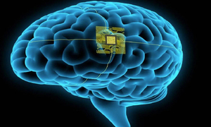 Matrix se acerca a la vida real: Desarrollan una interfaz cerebro-ordenador para humanos - OviedoPress