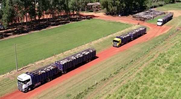 Pedirán una excepción para transportar insumos del campo en acoplados de trans-ganados