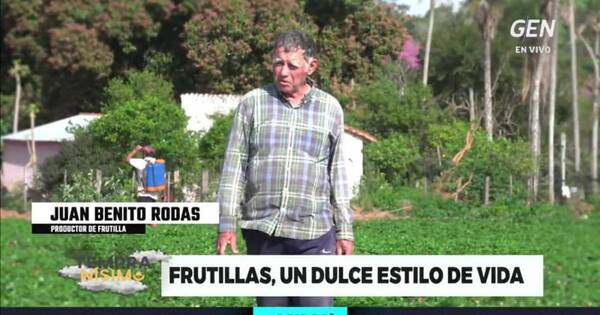 La Nación / “La frutilla me dio casa, para mi novia y familia”