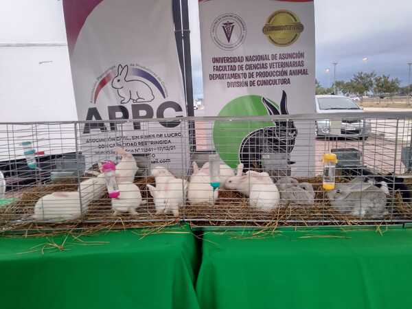 Feria del MAG en la Costanera de Asunción | 1000 Noticias
