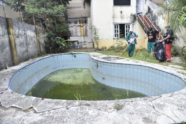 Descenso de notificaciones de dengue en Paraguay - Nacionales - ABC Color