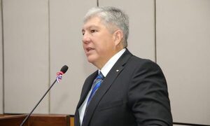 Asumió Rojas en reemplazo de fallecida Zulma Gómez en el Senado