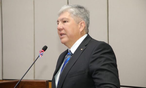 Asumió Rojas en reemplazo de fallecida Zulma Gómez en el Senado