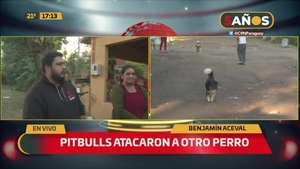 Pitbulls atacaron a otro perro - C9N