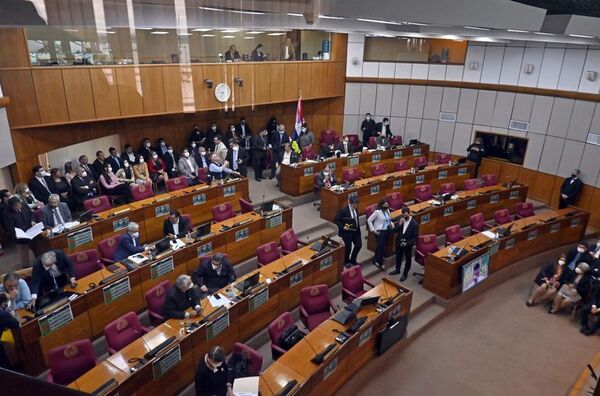 Senado insiste en la repartija de dinero de gobernaciones a cuestionadas ONG - Política - ABC Color