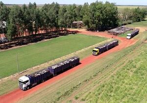 Proponen excepción para flete de insumos en acoplados de transporte para ganado - Nacionales - ABC Color