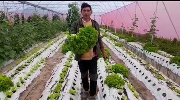 Diversifican productos hortícolas en Pilar - Nacionales - ABC Color