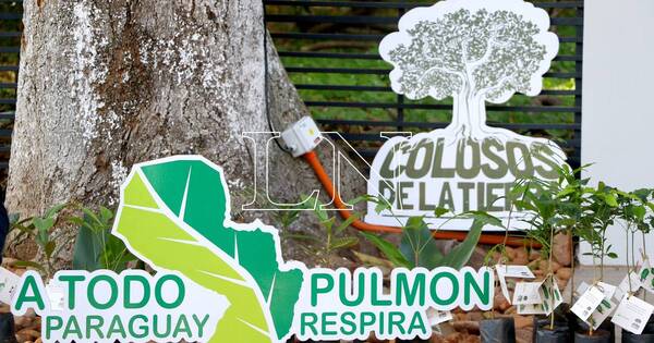 La Nación / Ezequiel García Rubín fue designado como el nuevo presidente de “A Todo Pulmón”