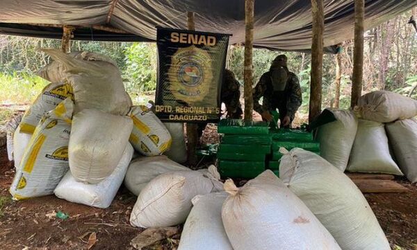 Destruyeron 1.4 toneladas de marihuana en la Reserva Morombí