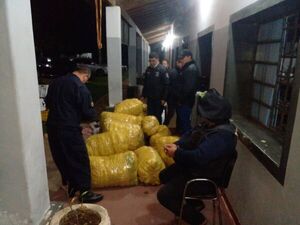Incautan unos 194 kilogramos de marihuana en Ñeembucú - Nacionales - ABC Color