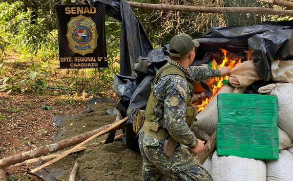 Desmontan campamento narco en Morombí y destruyen 1,4 toneladas de marihuana - Noticiero Paraguay
