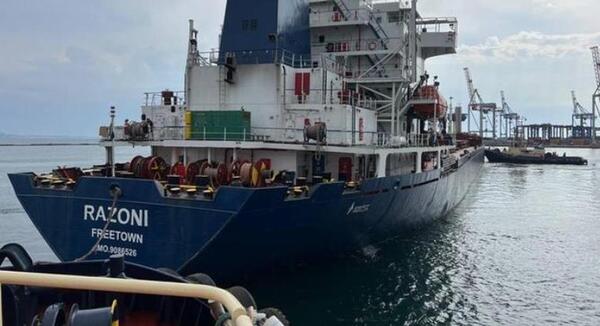 Rusia y Ucrania acordaron reanudar las exportaciones de granos