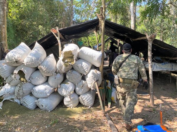 Paraguay narco: Incautan más de 23 ton. de droga y detienen solo a “peces chicos” en operativos antidrogas en Amambay – La Mira Digital