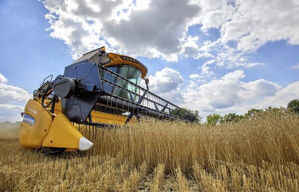 FAO: precios de los alimentos caen con fuerza - Mundo - ABC Color