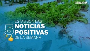El moderno sistema de riego que creó un joven paraguayo