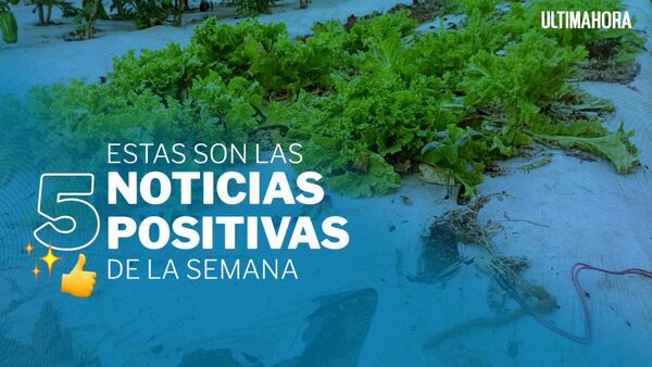 El moderno sistema de riego que creó un joven paraguayo