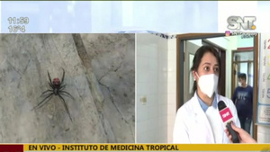 Araña Viuda Negra picó a un adolescente - SNT